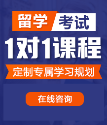 我被我插的直流水嗯嗯直叫留学考试一对一精品课